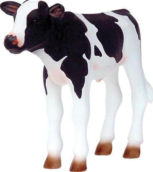 Newborn Calf - Black & White Newborn Calf - Black & White